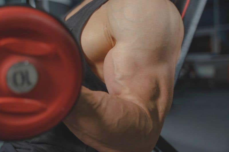 ipertrofia muscolare bicipite